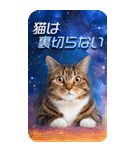 毎日面白い宇宙猫【BIGスタンプ】（個別スタンプ：20）