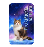 毎日面白い宇宙猫【BIGスタンプ】（個別スタンプ：21）