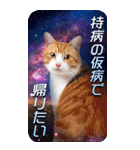 毎日面白い宇宙猫【BIGスタンプ】（個別スタンプ：27）