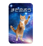 毎日面白い宇宙猫【BIGスタンプ】（個別スタンプ：30）