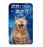 毎日面白い宇宙猫【BIGスタンプ】（個別スタンプ：31）