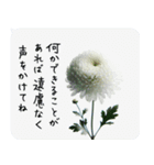 葬式・葬儀の言葉ご冥福をお祈りいたします（個別スタンプ：4）