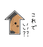 いつでも可愛いトイプー（個別スタンプ：17）