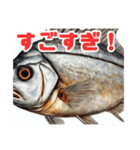 表情豊かな魚たち（個別スタンプ：4）