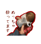 キ宴の友情は消えんスタンプ 〜弐〜（個別スタンプ：11）