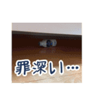 キ宴の友情は消えんスタンプ〜壱〜（個別スタンプ：27）