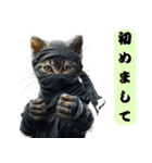 ニンジャ猫(あいさつ)（個別スタンプ：29）