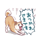 勢いだけで会話する柴犬（個別スタンプ：2）