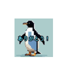 Everyday Penguin Stamps（個別スタンプ：3）