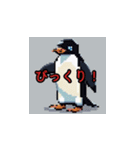 Everyday Penguin Stamps（個別スタンプ：4）