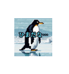 Everyday Penguin Stamps（個別スタンプ：22）