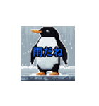 Everyday Penguin Stamps（個別スタンプ：23）