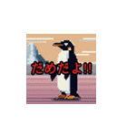 Everyday Penguin Stamps（個別スタンプ：34）