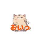 足上げ猫＜おいっ＞（個別スタンプ：11）