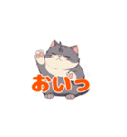 足上げ猫＜おいっ＞（個別スタンプ：20）