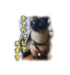 斉藤さんちの宝物（個別スタンプ：6）