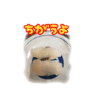 斉藤さんちの宝物（個別スタンプ：15）
