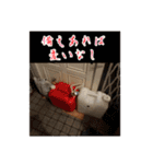 斉藤さんちの宝物（個別スタンプ：16）