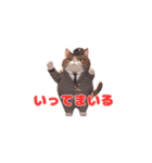 お出かけ猫＜いってまいる＞（個別スタンプ：29）