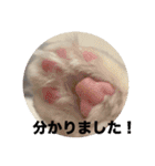 てしろとづん3（個別スタンプ：1）