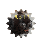 てしろとづん3（個別スタンプ：2）