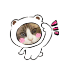 てしろとづん3（個別スタンプ：3）