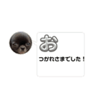 てしろとづん3（個別スタンプ：7）
