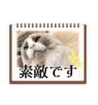 てしろとづん3（個別スタンプ：10）