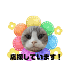 てしろとづん3（個別スタンプ：16）