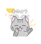 あいさつ！しましまねこスタンプ（個別スタンプ：1）