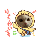 ROY RAW RUA☆（個別スタンプ：1）