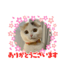 ROY RAW RUA☆（個別スタンプ：2）