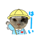 ROY RAW RUA☆（個別スタンプ：9）