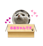 ROY RAW RUA☆（個別スタンプ：13）