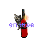 猫のぷく3（個別スタンプ：23）