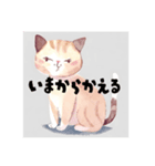 毎日使える敬語の猫（個別スタンプ：4）