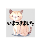 毎日使える敬語の猫（個別スタンプ：12）