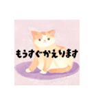 毎日使える敬語の猫（個別スタンプ：13）