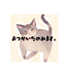 毎日使える敬語の猫（個別スタンプ：18）