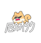 推し活KPOPりす（個別スタンプ：4）