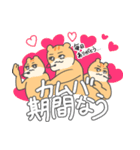 推し活KPOPりす（個別スタンプ：20）