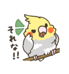 日常に添えるふくふくオカメインコ（個別スタンプ：17）