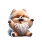 3D Art Dog Friends Pomeranian simple（個別スタンプ：4）