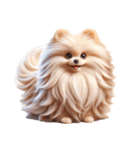 3D Art Dog Friends Pomeranian simple（個別スタンプ：8）