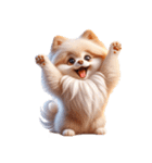 3D Art Dog Friends Pomeranian simple（個別スタンプ：11）