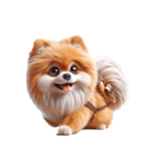 3D Art Dog Friends Pomeranian simple（個別スタンプ：12）