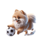 3D Art Dog Friends Pomeranian simple（個別スタンプ：13）