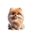 3D Art Dog Friends Pomeranian simple（個別スタンプ：16）