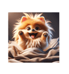 3D Art Dog Friends Pomeranian simple（個別スタンプ：21）