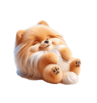 3D Art Dog Friends Pomeranian simple（個別スタンプ：23）